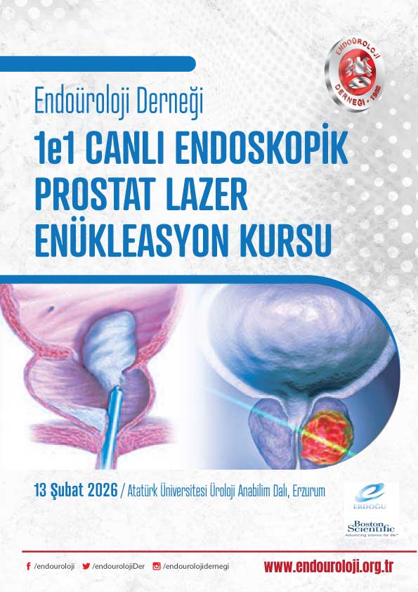 1e1 Yerinde Canlı Endoskopik Prostat Lazer Enükleasyon Kursu