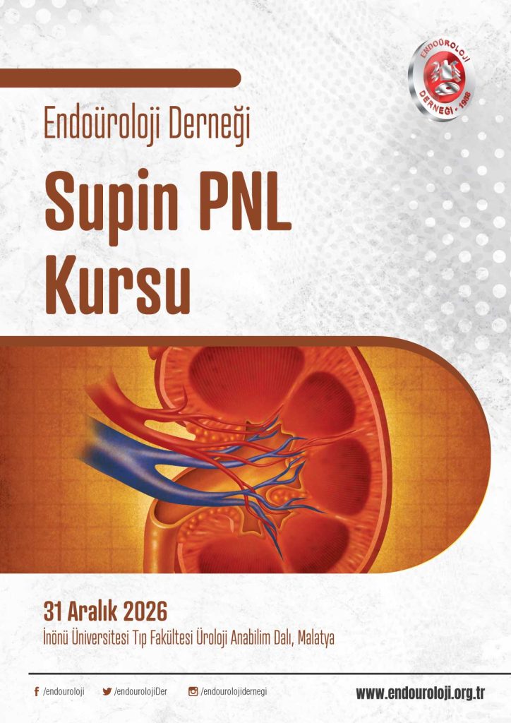 Supin PNL Kursu